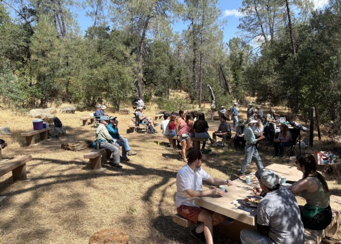 An overview shot of the picnic tables full of attendees. Photo by J. Kelley.