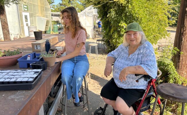 Nursery intern Azren Carter works with sedum for propagation, with new volunteer Stephanie Huges. Photo by M. McCrary. July 29, 2025.