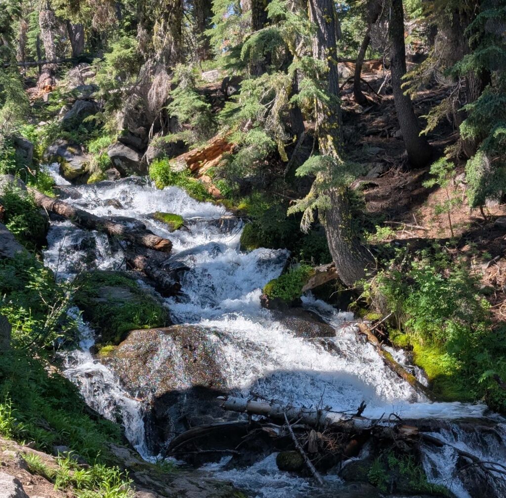 Hat Creek, along the Paradise Meadows Trail, Lassen. R. Redlich. July 12, 2025.