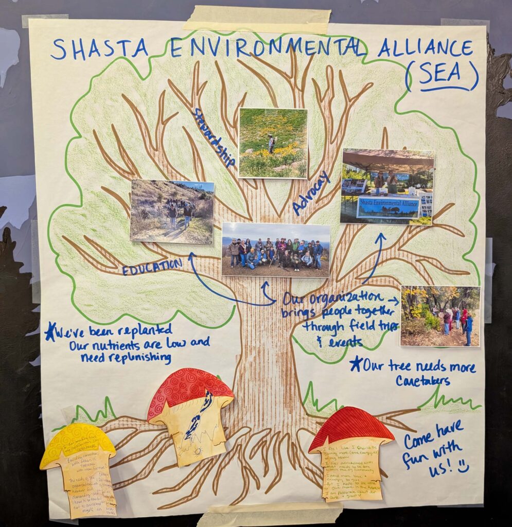 SEA's tree at the Moving Forward Together meeting. R. Redlich.