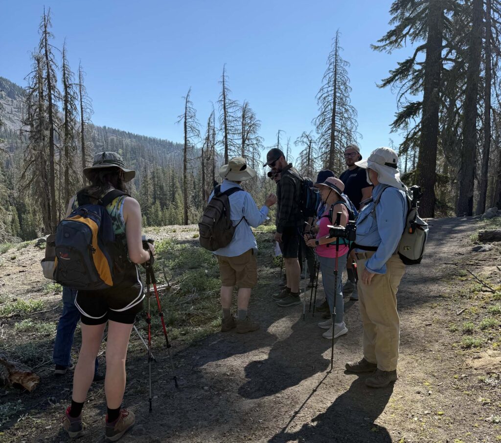 A group of hikers on the Crumbaugh Lake trip, July 19, 2025. Photo by T. Swanson.
