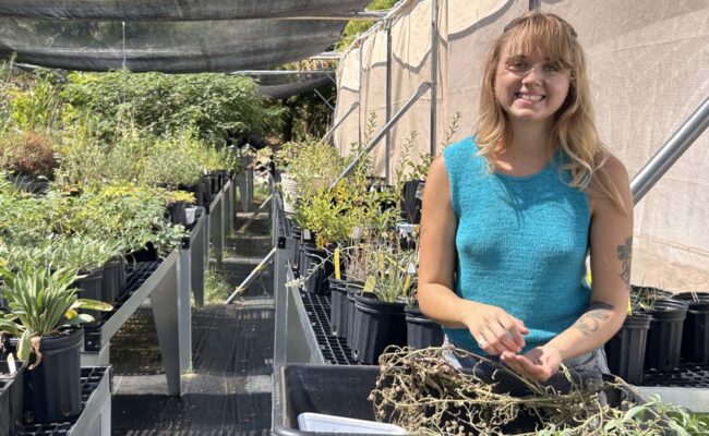 Oceanna Boudway. MA McCrary.