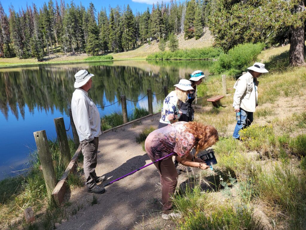 The group botanizing near Little Medicine Lake on the August 2025 Sáttítla trip. Photo © D. Mandel.