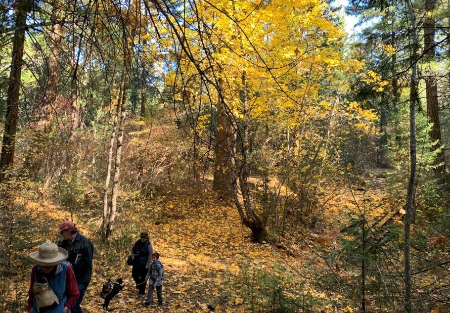 Trail at East Weaver Creek. J. Springer.
