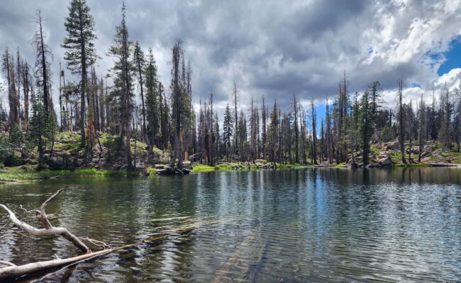 South Cypress Lake. D. Burk.
