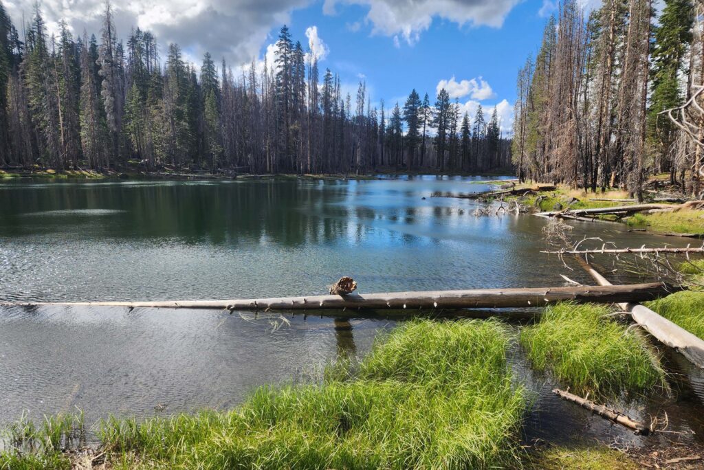 Twin Lake. D. Burk. D. Burk. Caribou Wilderness, Aug. 17, 2025.