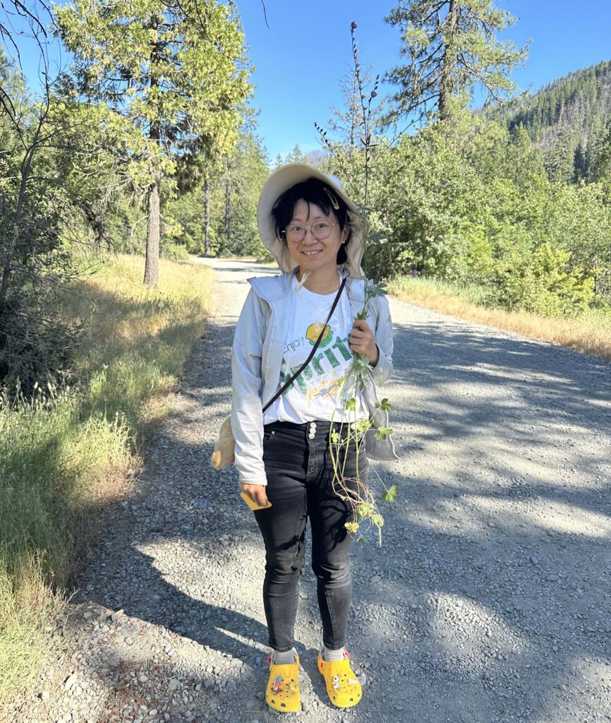 Chenjiao Deng stands holding a plant in Siskiyou Co. Photo by M. Harrison
