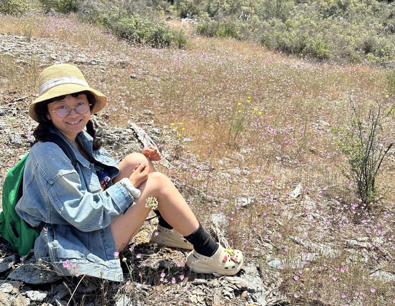 Chenjiao Deng and checkermallows. M. Harrison.