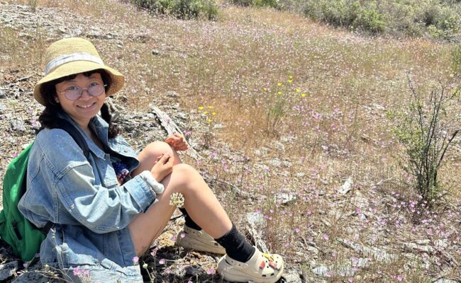 Chenjiao Deng and checkermallows. M. Harrison.