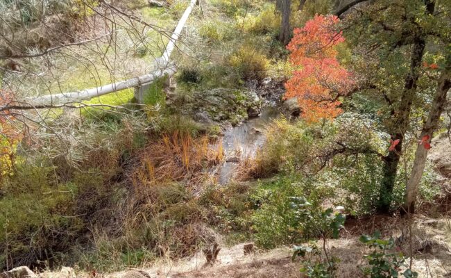 Jenny Creek. D. Ledger