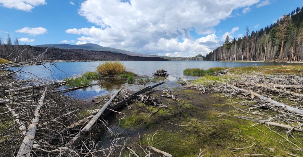 South end of Butte Lake. D. Burk.