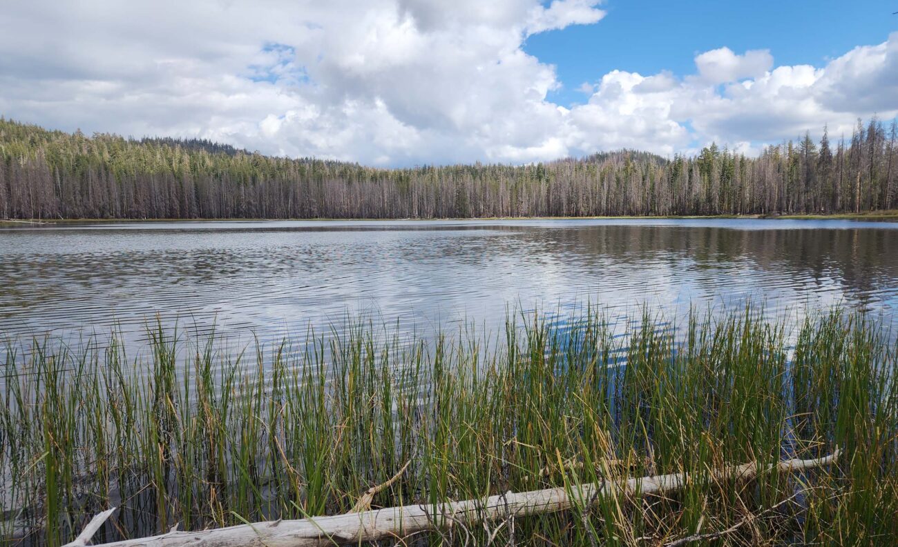 Widow Lake. D. Burk.