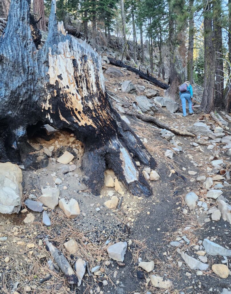 Steep trail to Widow Lake. D. Burk.