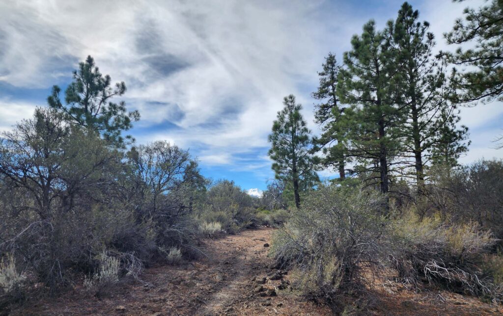 PCT and Mt. Lassen. D. Burk.