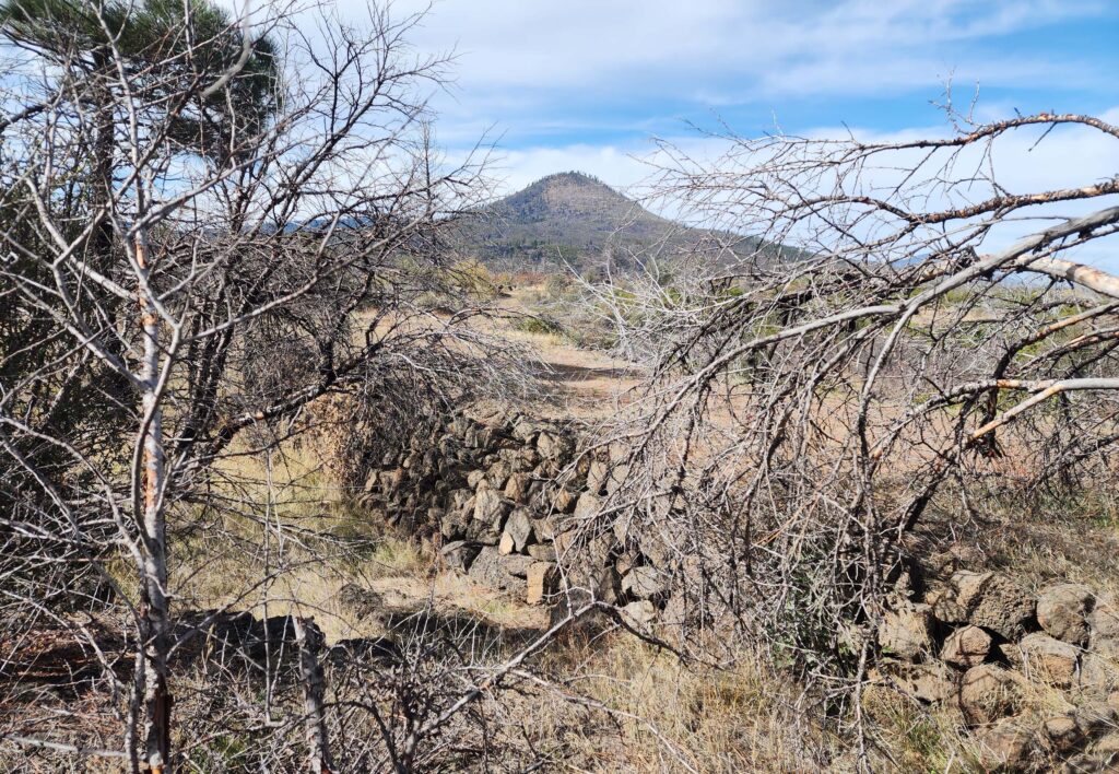 Rockwork road foundation. D. Burk.