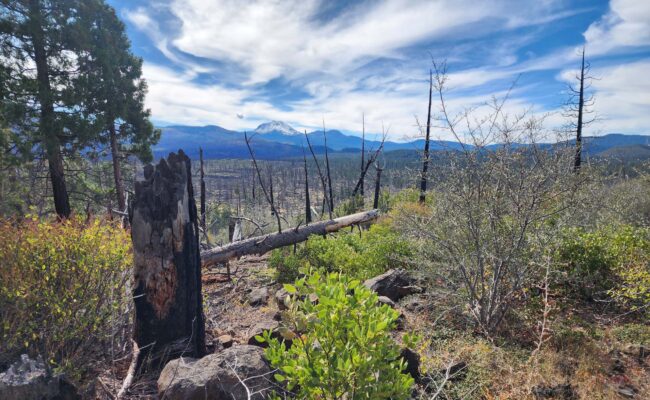 View of Devil's Half Acre. D. Burk.