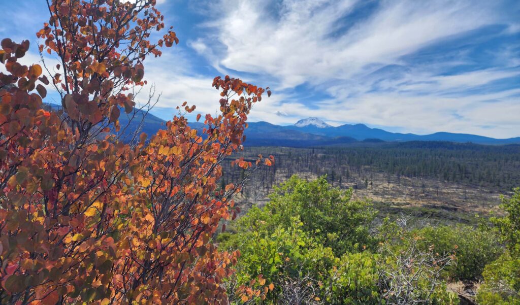 Devil's Half Acre, redbud, manzanita, and Mt Lassen and the Cascades. D. Burk.