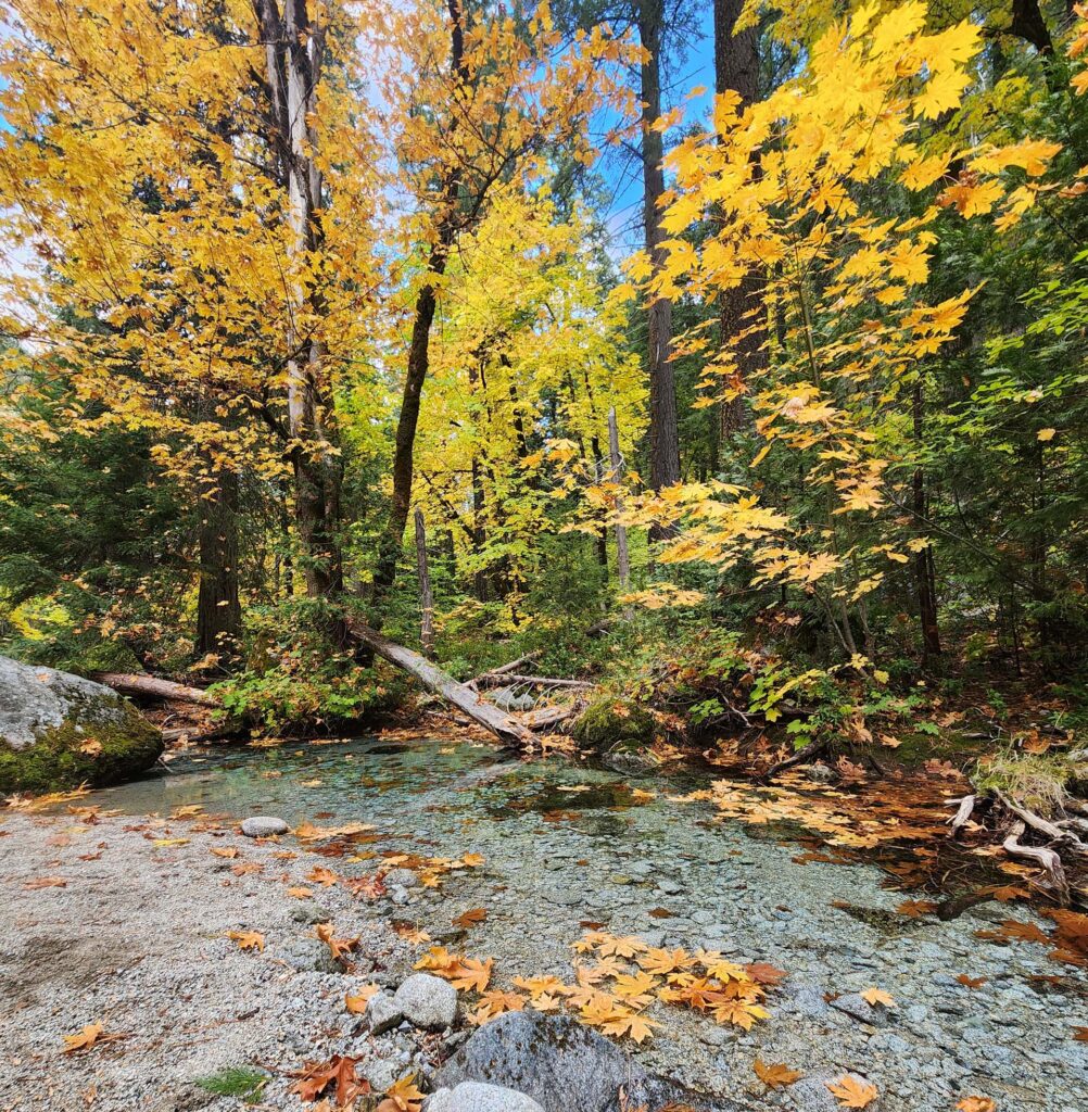 NOT The Sinks!  D. Burk.
