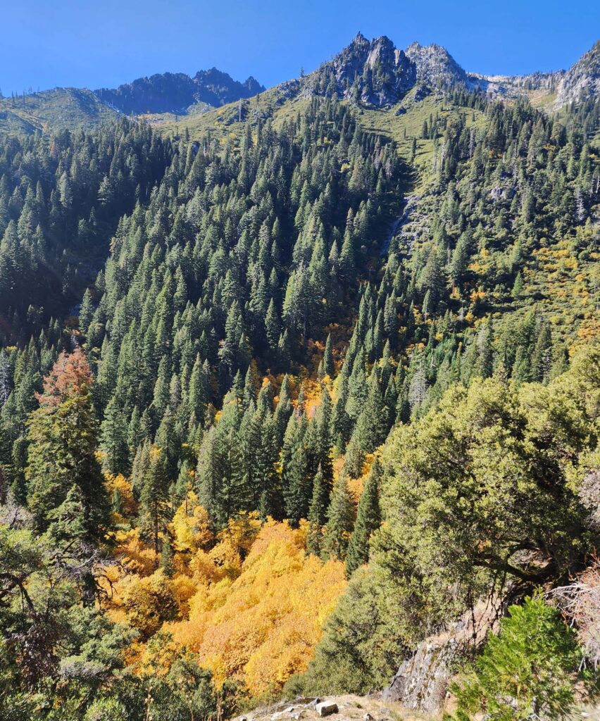 Mountain scene from Canyon Creek Trail.  D. Burk.