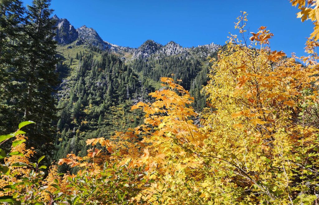Trinity Alps. D. Burk.