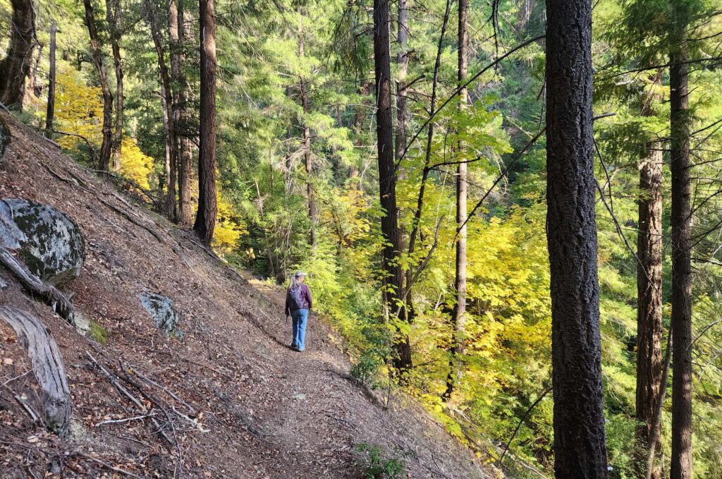 Trail above Canyon Creek.  D. Burk.