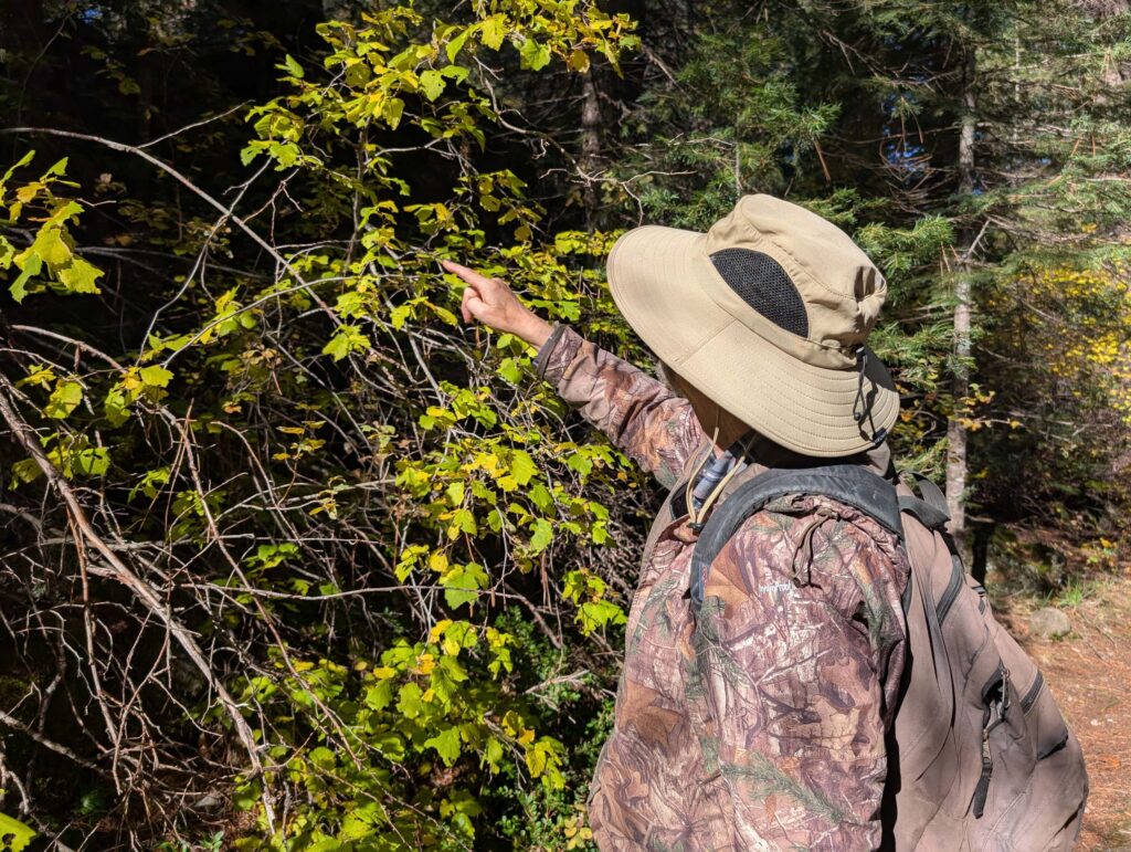 David Ledger at McCloud River Falls trail by Ren Redlich