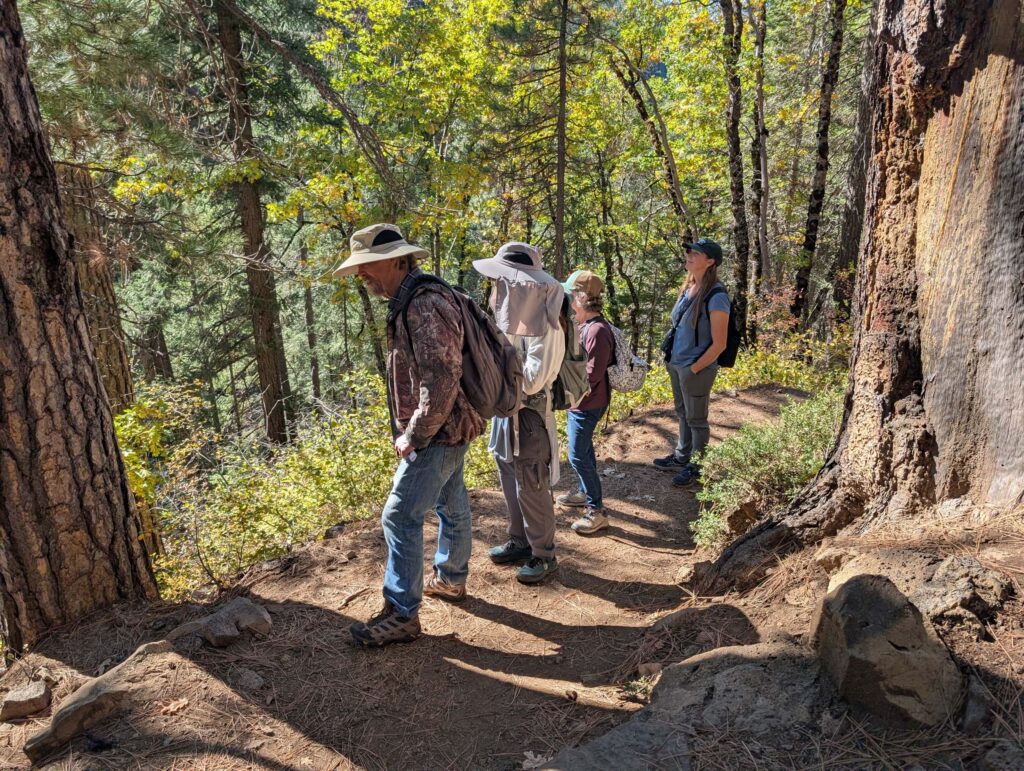 Hikers admiring the Falls at McCloud River Falls trail. R. Redlich.