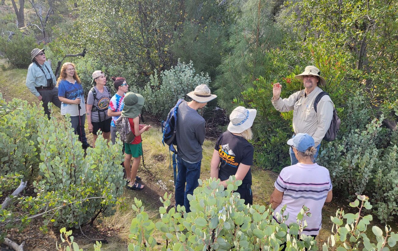 David talking to the hikers about toyon. D. Mandel.