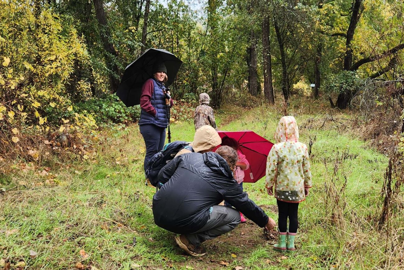 Looking at earth stars. J. Malik.