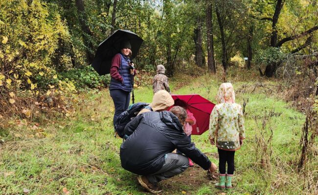 Looking at earth stars. J. Malik.