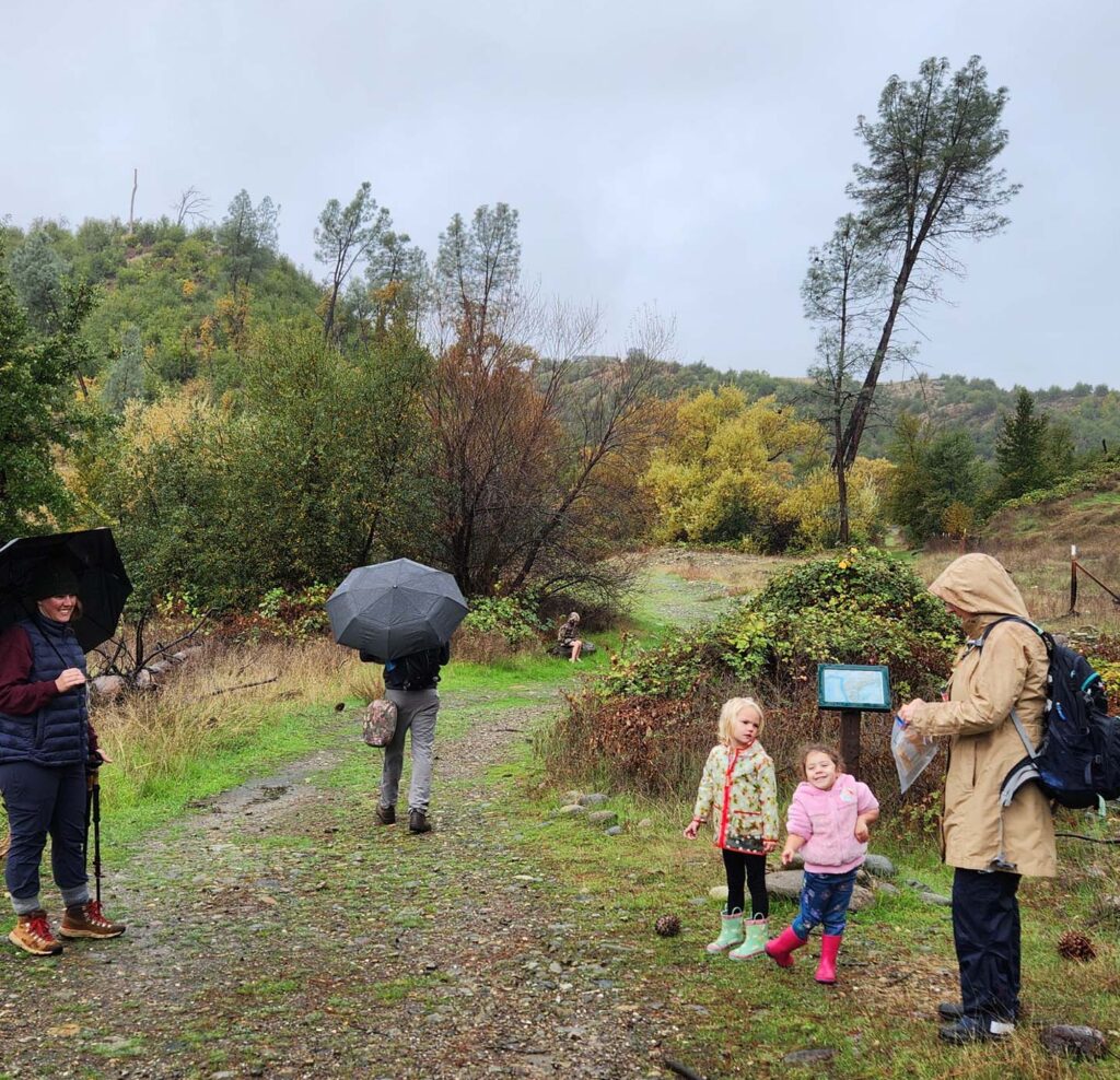 Families in the forest outing. J. Malik.