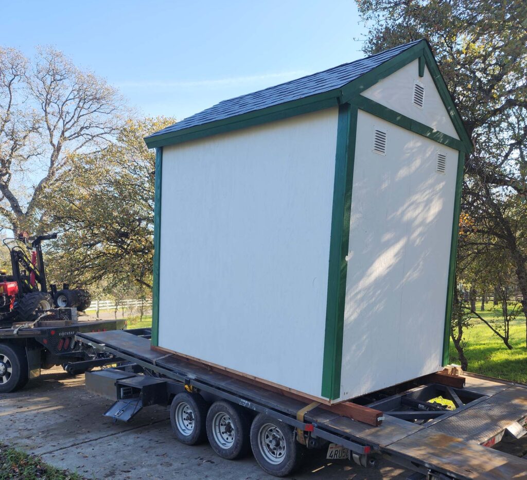 Shed ready to rumble. D. Burk.