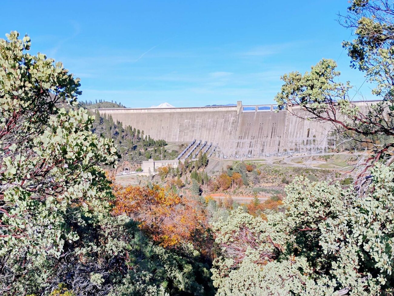 Mt. Shasta and Shasta Dam from Upper Sacramento Ditch Trail. D. ledger.