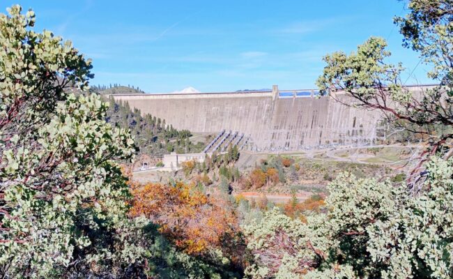 Mt. Shasta and Shasta Dam from Upper Sacramento Ditch Trail. D. ledger.
