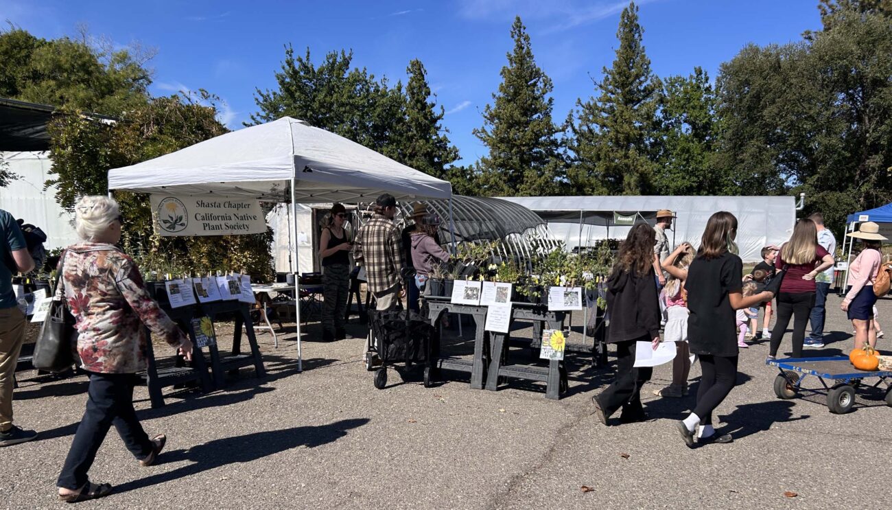 Customers at the plant sale. MA McCrary.