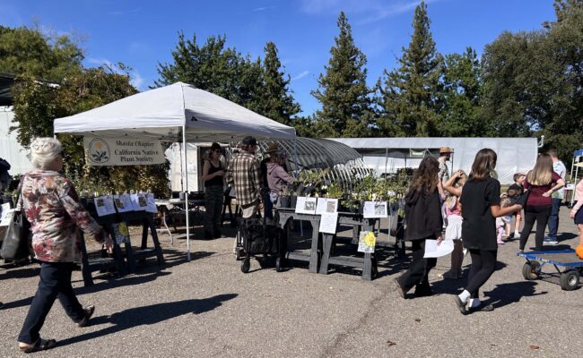 Customers at the plant sale. MA McCrary.