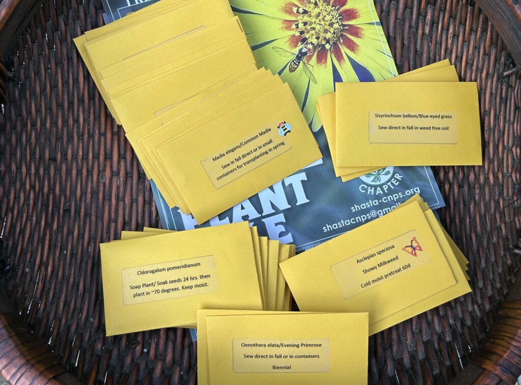 Seed packets. MA McCrary October 2025.