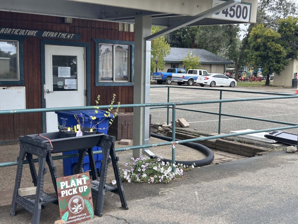 Pick-up site at Shasta College. MA McCrary.