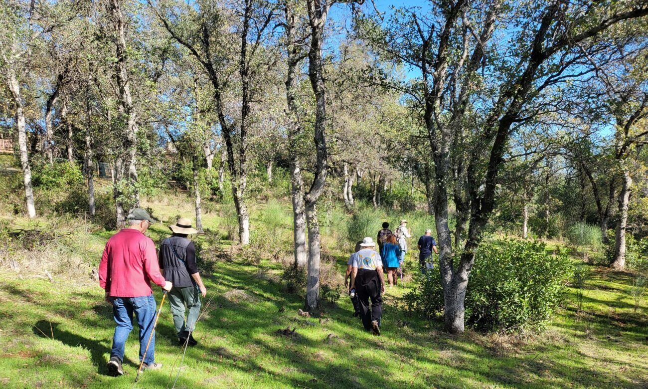 Jenny Creek Open Space. D. Mandel.