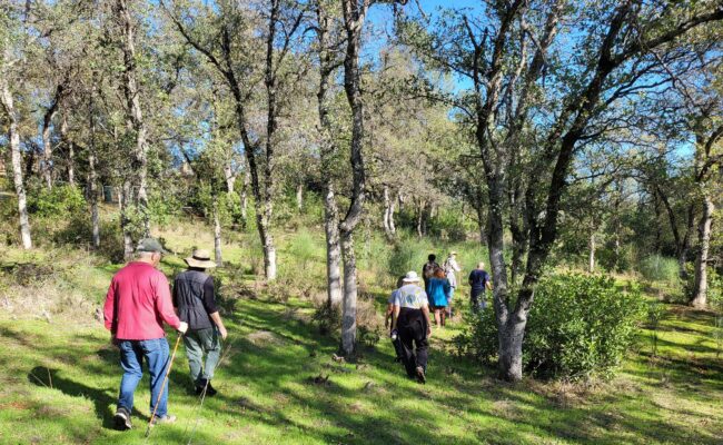 Jenny Creek Open Space. D. Mandel.