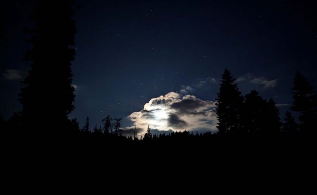 Night sky. R. Redlich.