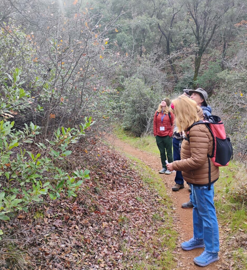 Hikers looking at CA bays. D. L.