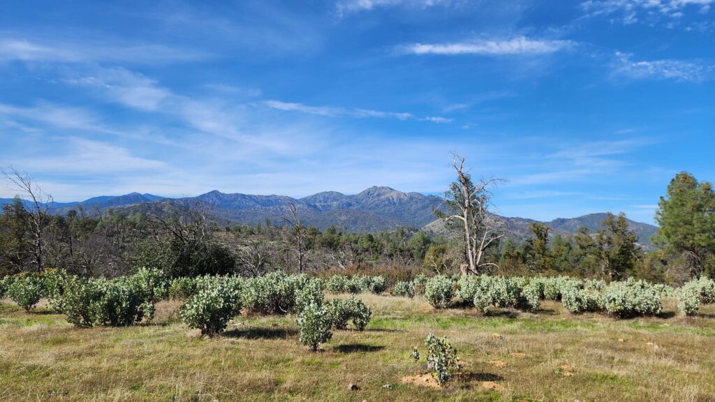 View from Cloverdale Loop Trail. J. Malik.