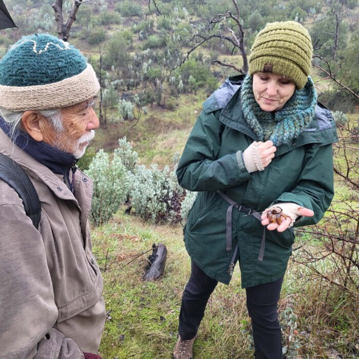 Hikers with an earthstar mushroom. On the trail to Top of the Worlds, January 1, 2026. D. Mandel.