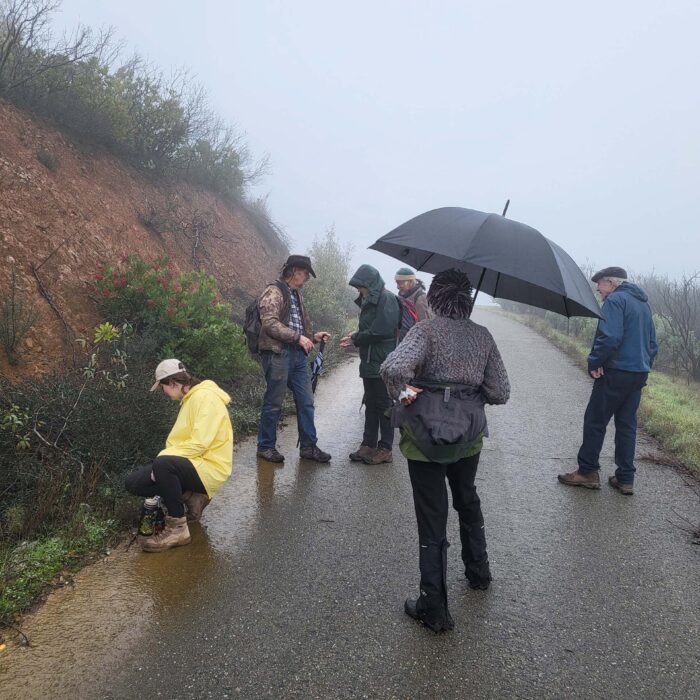 Hikers resting in the rain on the January 1, 2026, Top of the World field trip. D. Mandel.