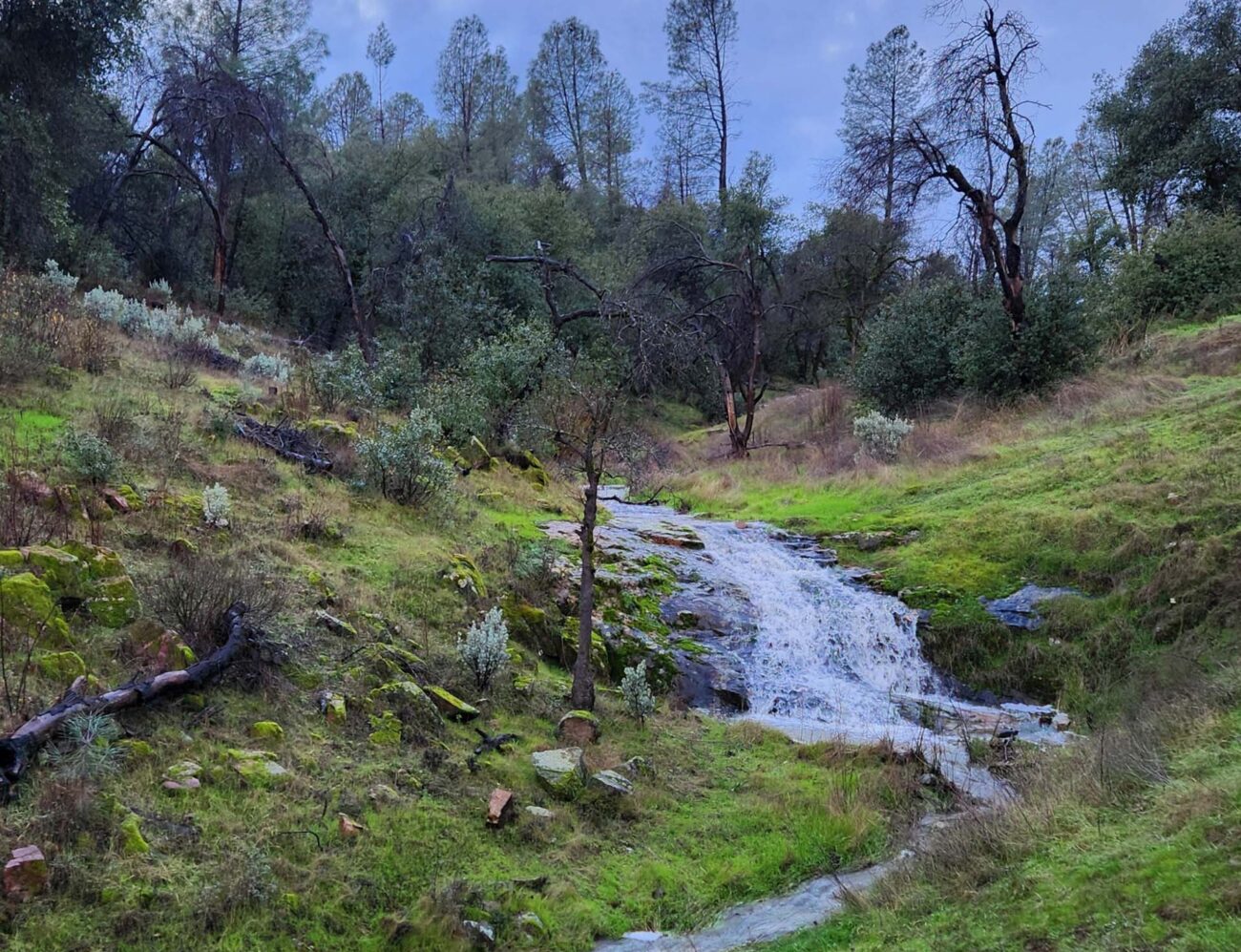 Cloverdale Loop winter creek. J. Malik.