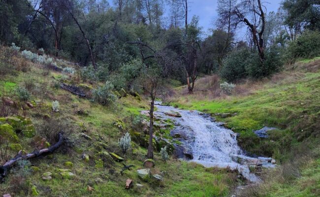 Cloverdale Loop winter creek. J. Malik.