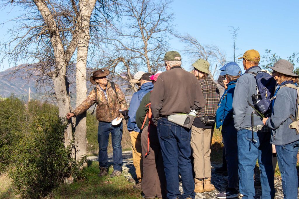 Hike leader pointing out Hollyleaf redberry. 