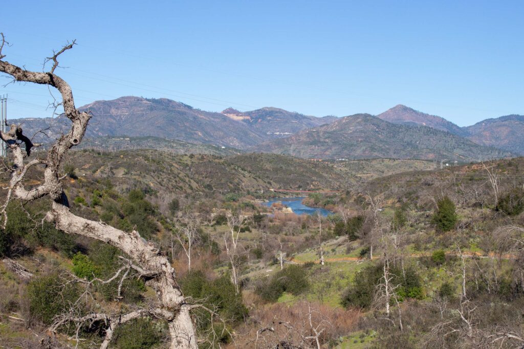 View of the Sacramento River from 10 Bridges trail