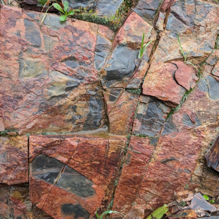 Striations of sedimentary rock. On the January 1, 2026, hike to Top of the World. R. Redlich.